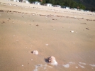 20130918_Muuido-3.jpg