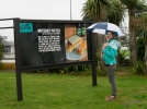 P1020117.jpg