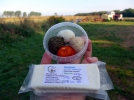 2014-09-16-uckermark-6