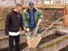 neuruppin-14_fischzucht