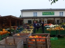 neuruppin-01_kuerbishof