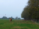 neuruppin-03_hakenberg