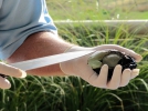 20150619-nz-seeigel-slideshow-2