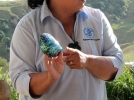 20150619-nz-seeigel-slideshow-3
