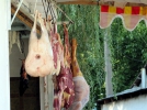 kirgistan_fettarschschaf-2
