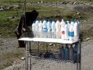 kirgistan_milch-3
