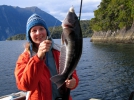angeln_doubtfulsound