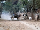 myanmar_road-to-mandalay-10