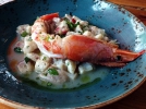 cevicherianostitz_1