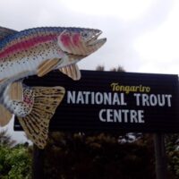 handy_20131210_TongariroTroutCentre.jpg
