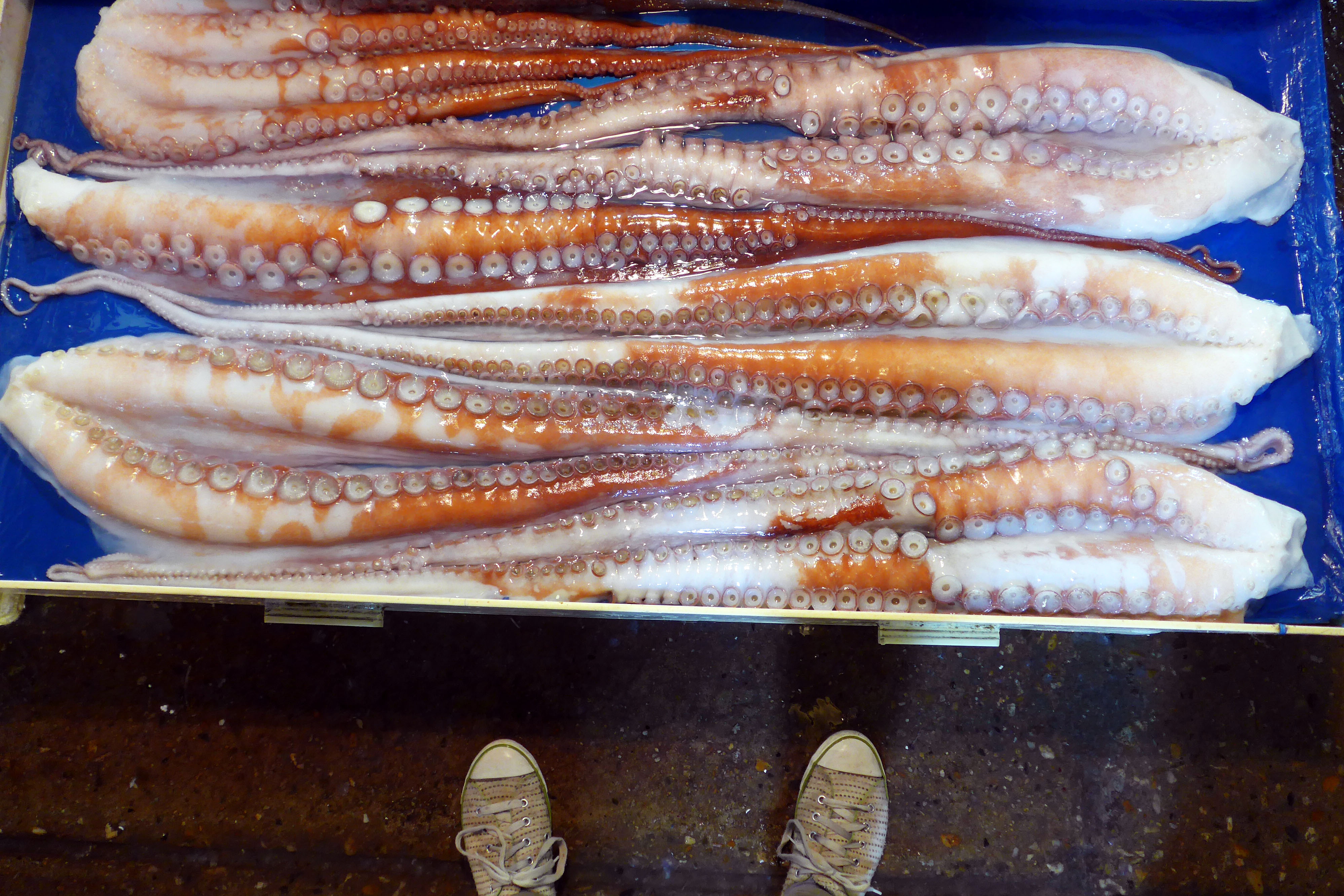 20141203_titel_Seoul Fischmarkt