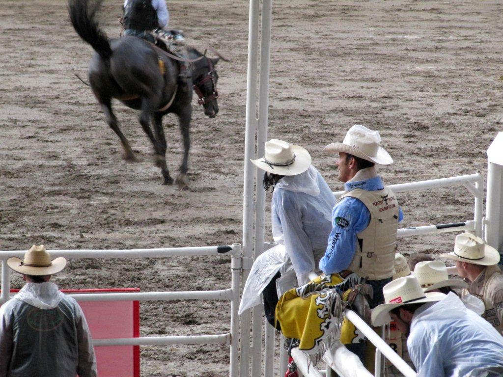 Rodeo