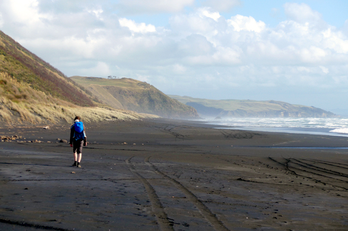 Neuseeland 2013-2014