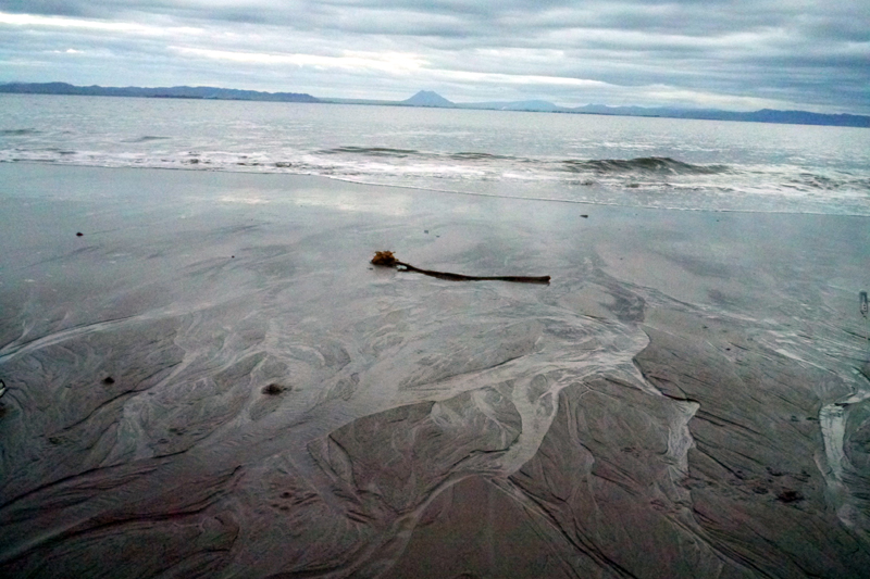 naturechallenge_Whale Island