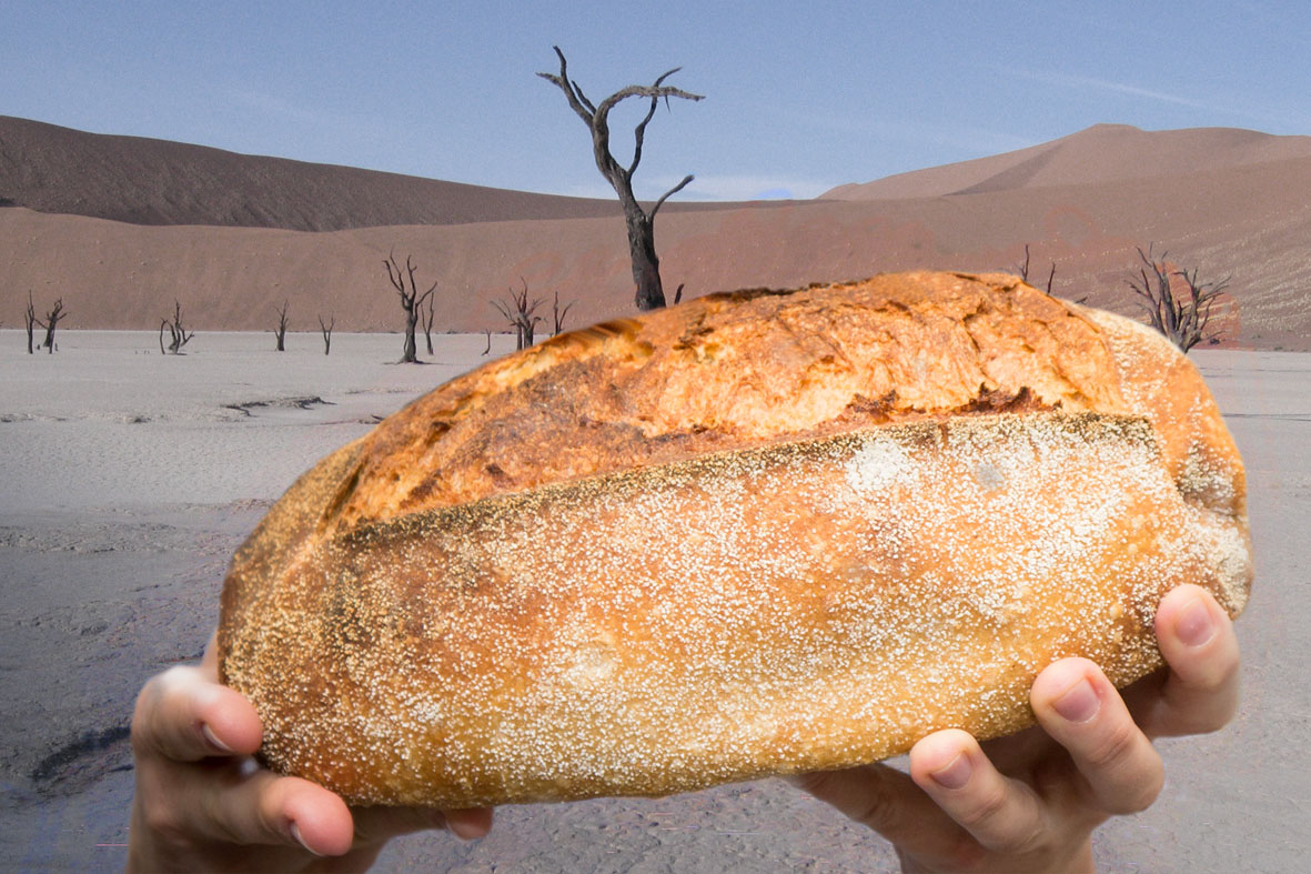 Brot in der Wüste