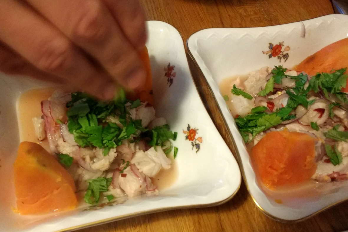 Blitzschnell selbst gemacht: Ceviche, die peruanischen Sushi, aus rohem Fisch, Limettensaft, Zwiebeln, Chili und Koriander