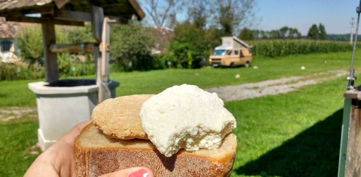 Handgemachter Schafskäse in Lonjsko Polje