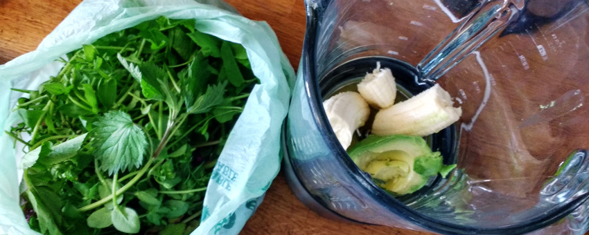 Grüne Smoothies mit Wildkräutern selbst machen