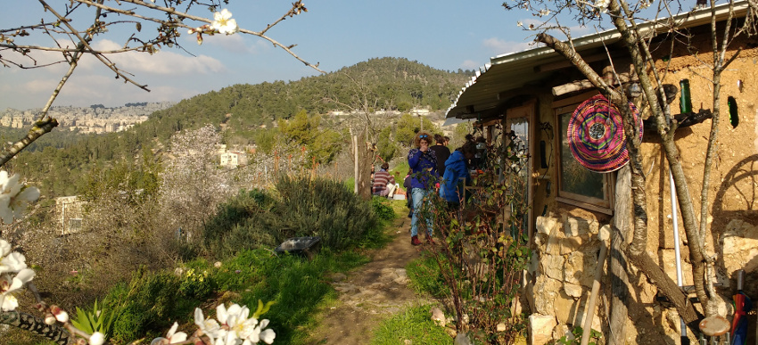 PIcknick unter blühenden Mandelbäumen in En Karem nahe Jerusalem