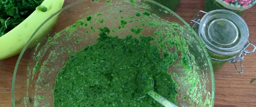 Bärlauch-Pesto