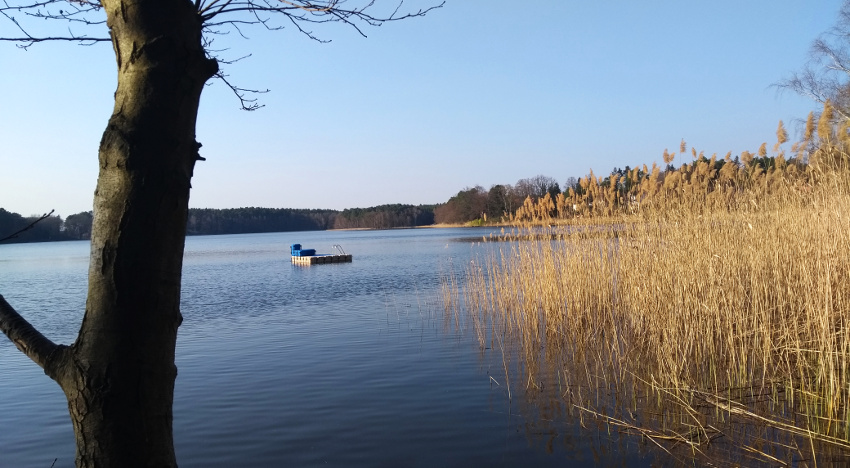 Waldsieversdorf familienfreundliches Ausflugsziel Wandern mit Kindern Badesee Brandenburg Märkische Schweiz Kulinarik
