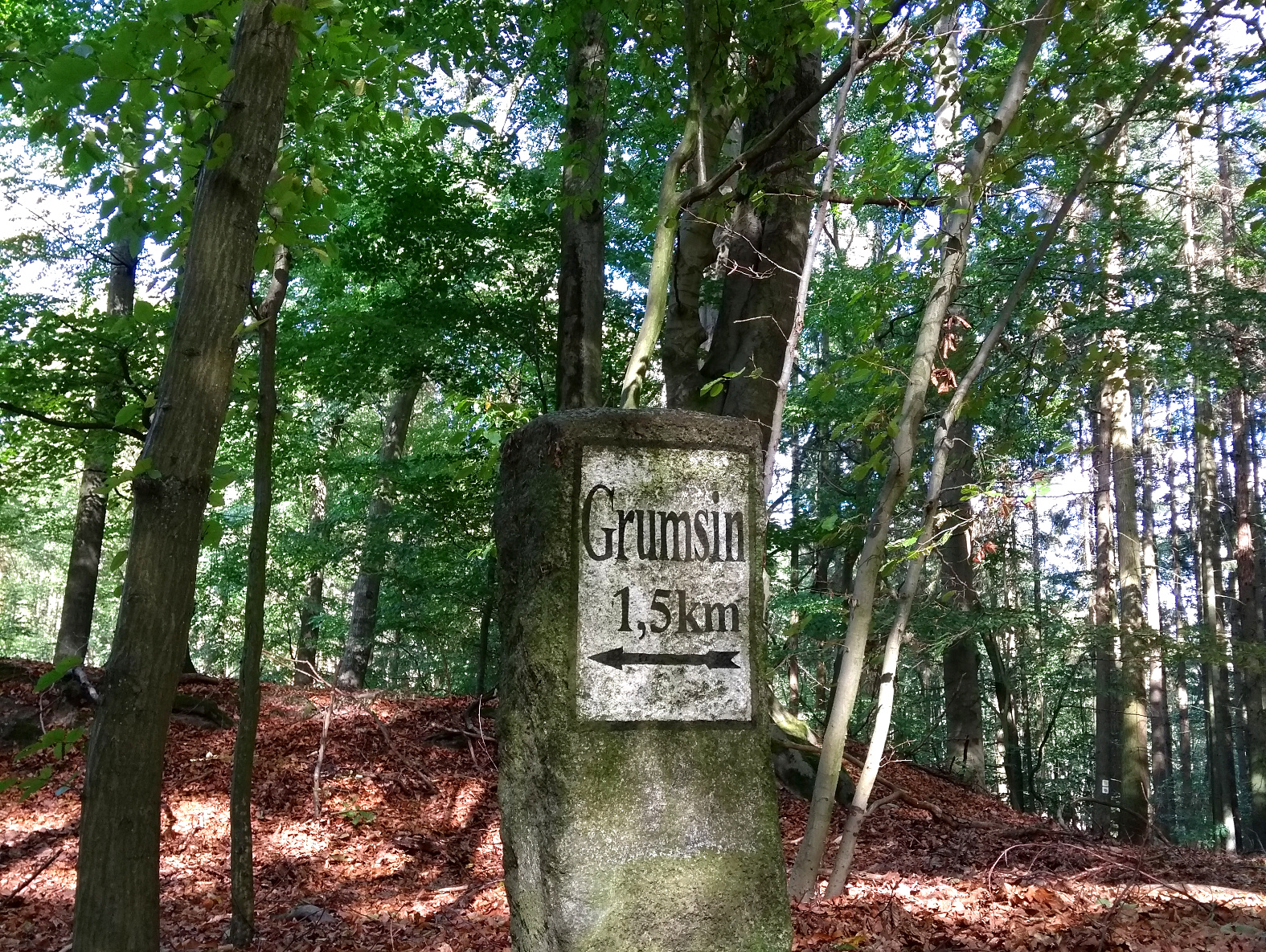 Grumsin Wanderung Radtour Weltnaturerbe Buchenwald (c) www.JaegerDesVerlorenenSchmatzes.de